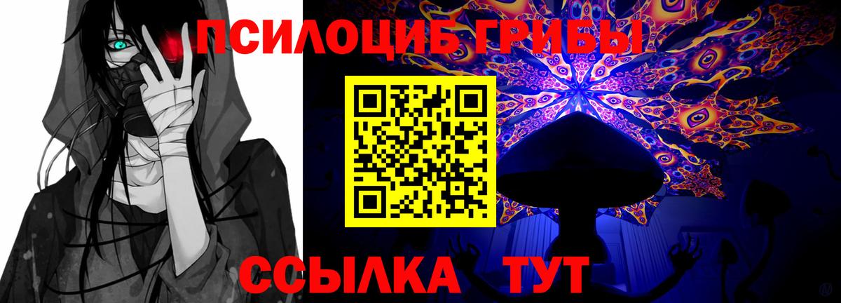 Галлюциногенные грибы Psilocybine cubensis  Вход с VPN  Зеленогорск 
